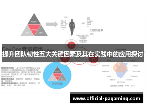 提升团队韧性五大关键因素及其在实践中的应用探讨 提升团队韧性五大关键因素及其在实践中的应用探讨