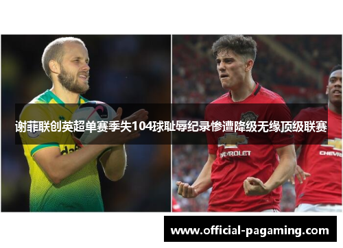 谢菲联创英超单赛季失104球耻辱纪录惨遭降级无缘顶级联赛