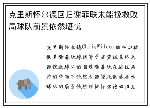 克里斯怀尔德回归谢菲联未能挽救败局球队前景依然堪忧 克里斯怀尔德回归谢菲联未能挽救败局球队前景依然堪忧